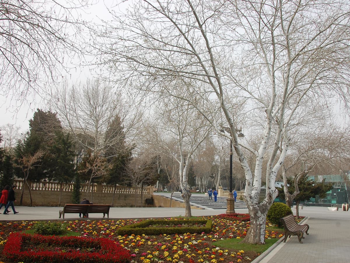 Sabaha olan HAVA PROQNOZU