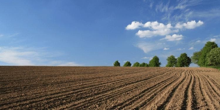 Bu rayonda payızlıq taxıl səpini başa çatıb