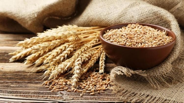 Azərbaycanda buğda istehsalı ötən il 14% azalıb