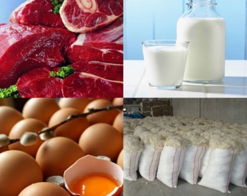 Bu rayonda ət, süd, yumurta və yun istehsalı artıb