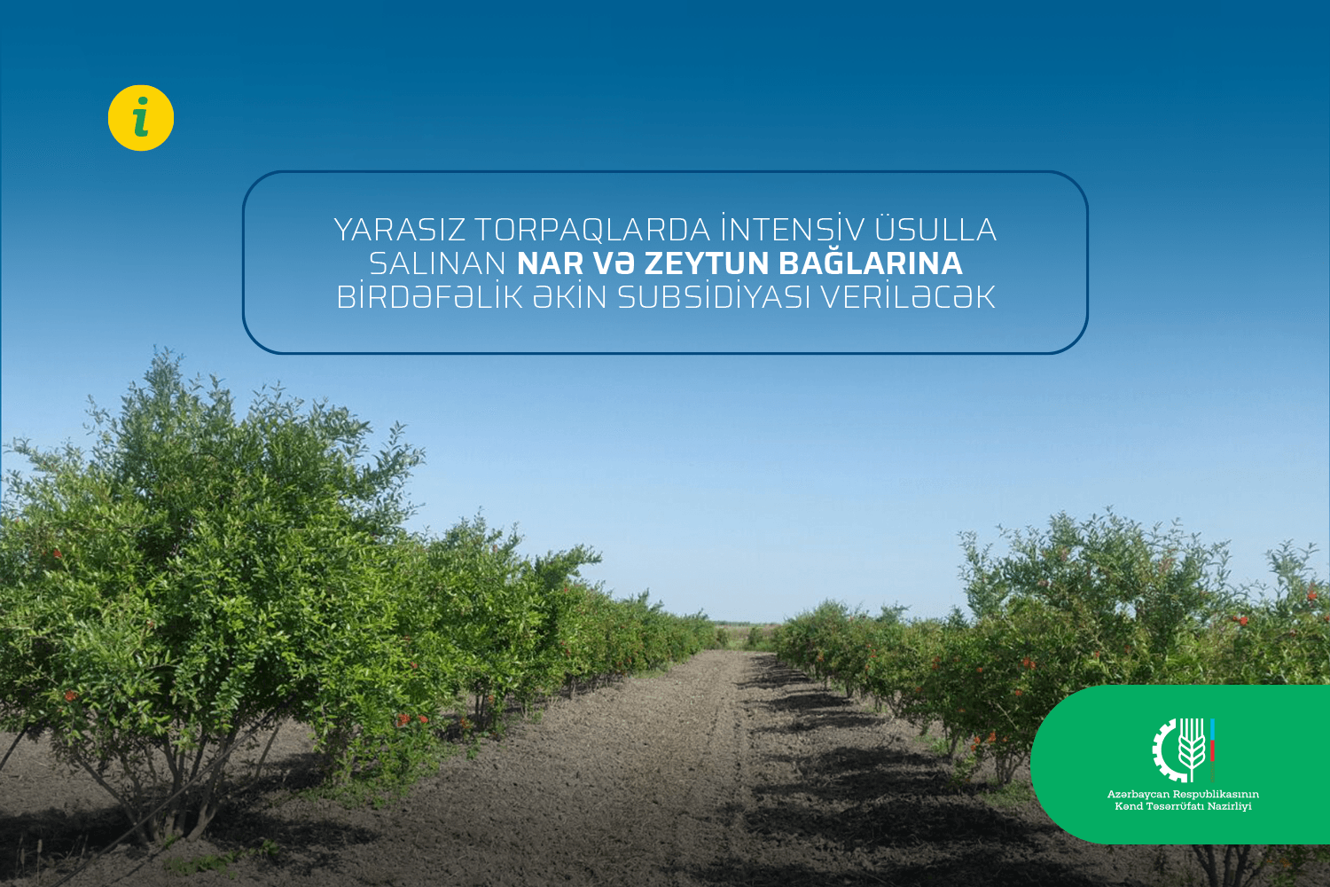 Azərbaycanda yarasız torpaqlar əkinə qaytarılır