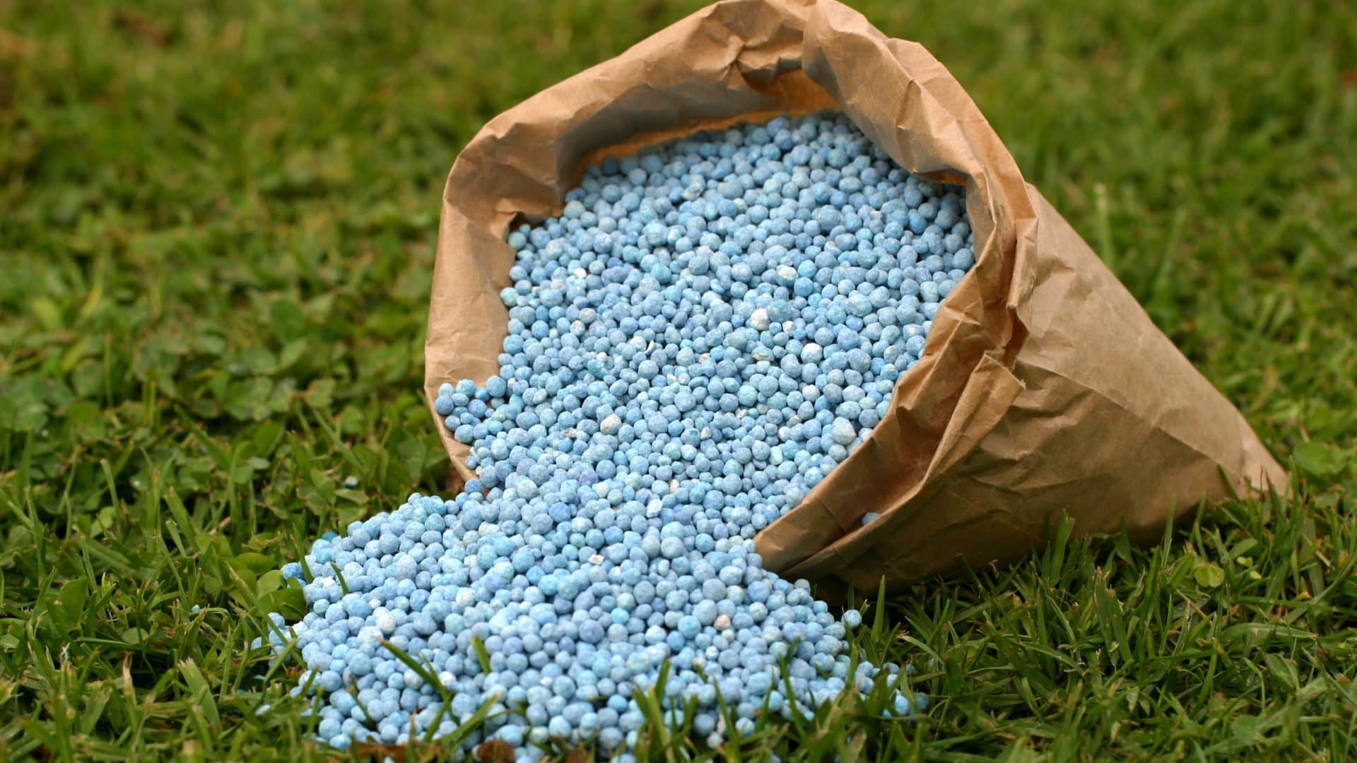 Azərbaycanda mineral gübrələrin QİYMƏTLƏRİ - CƏDVƏL