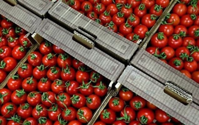 Daha 12 müəssisədən Rusiyaya pomidor ixracına icazə verildi