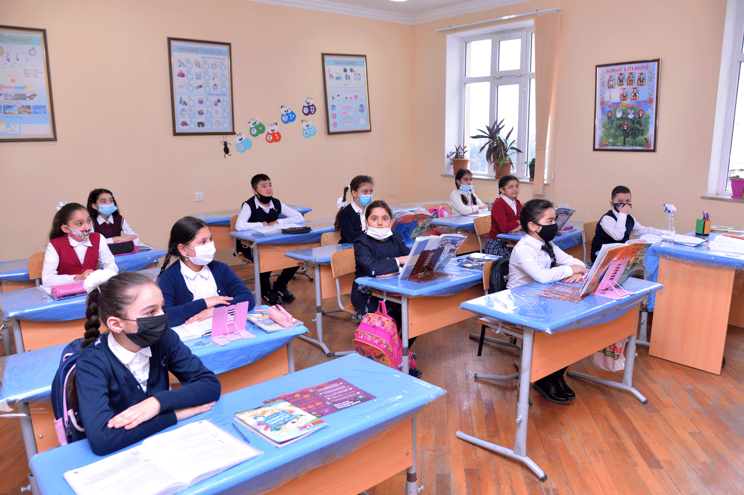 Əyani tədrisin təşkili vəziyyəti