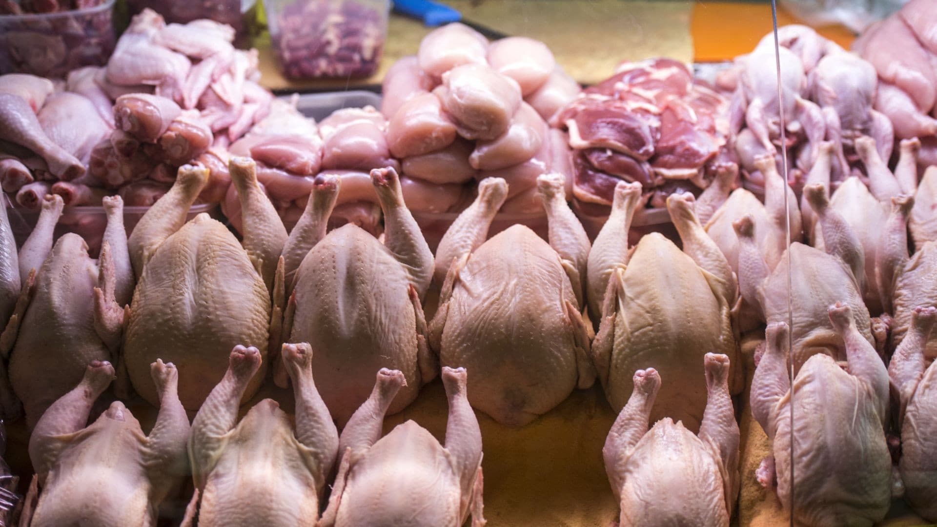 Neftçalada yanvar ayında 846.8 ton quş əti istehsal olunub