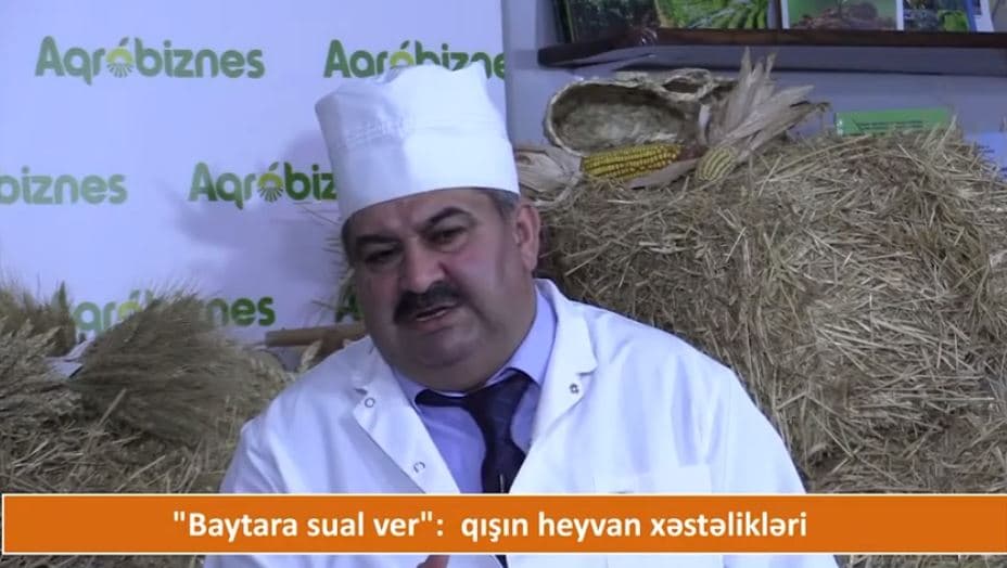 Heyvandarları ən çox maraqlandıran SUALLAR - VİDEO