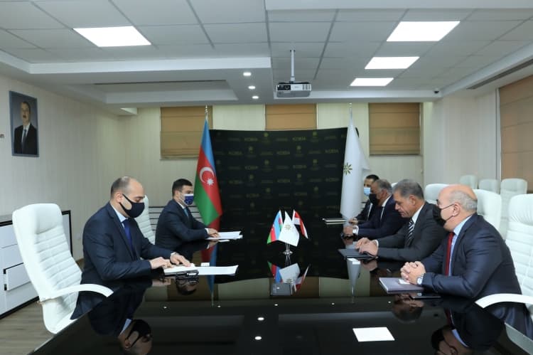Misir şirkəti bu layihələrdə iştirak etmək istəyir