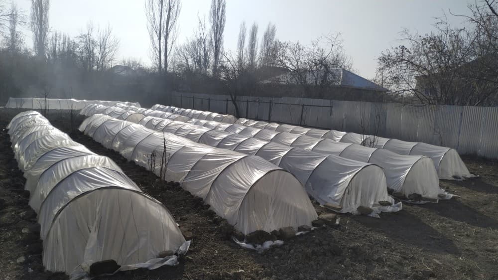 Balakəndə aqropark hazırlanır
