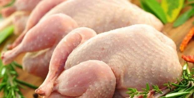 Rusiyadan Azərbaycana gələn məhsulda salmonella aşkarlandı
