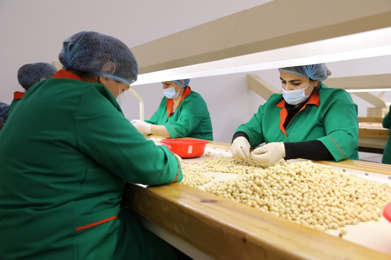 “Azhazelnut” fındıq emalı zavodunun məhsul ixracına dəstək göstərilməsi ilə bağlı müzakirələr