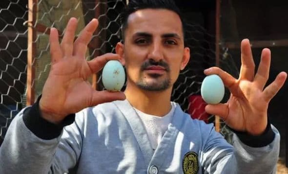 Fermer yumurtanın birini 10 dollardan satır - FOTO