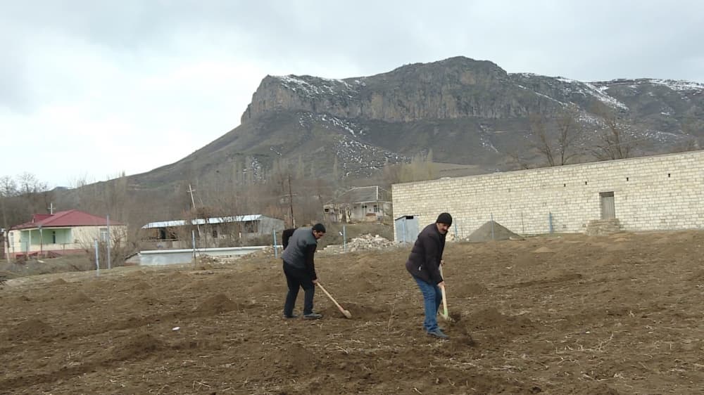 Tovuzun sərhəd kəndlərində yaz işləri davam edir