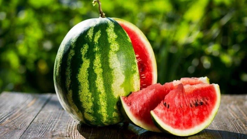 Sabirabadda örtük altında qarpız əkini yekunlaşmaq üzrədir