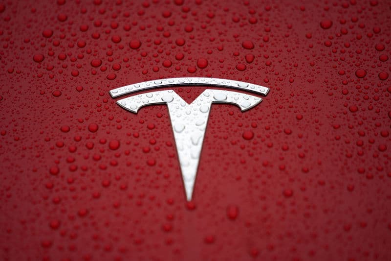 Tesla Hindistan bazarlarında