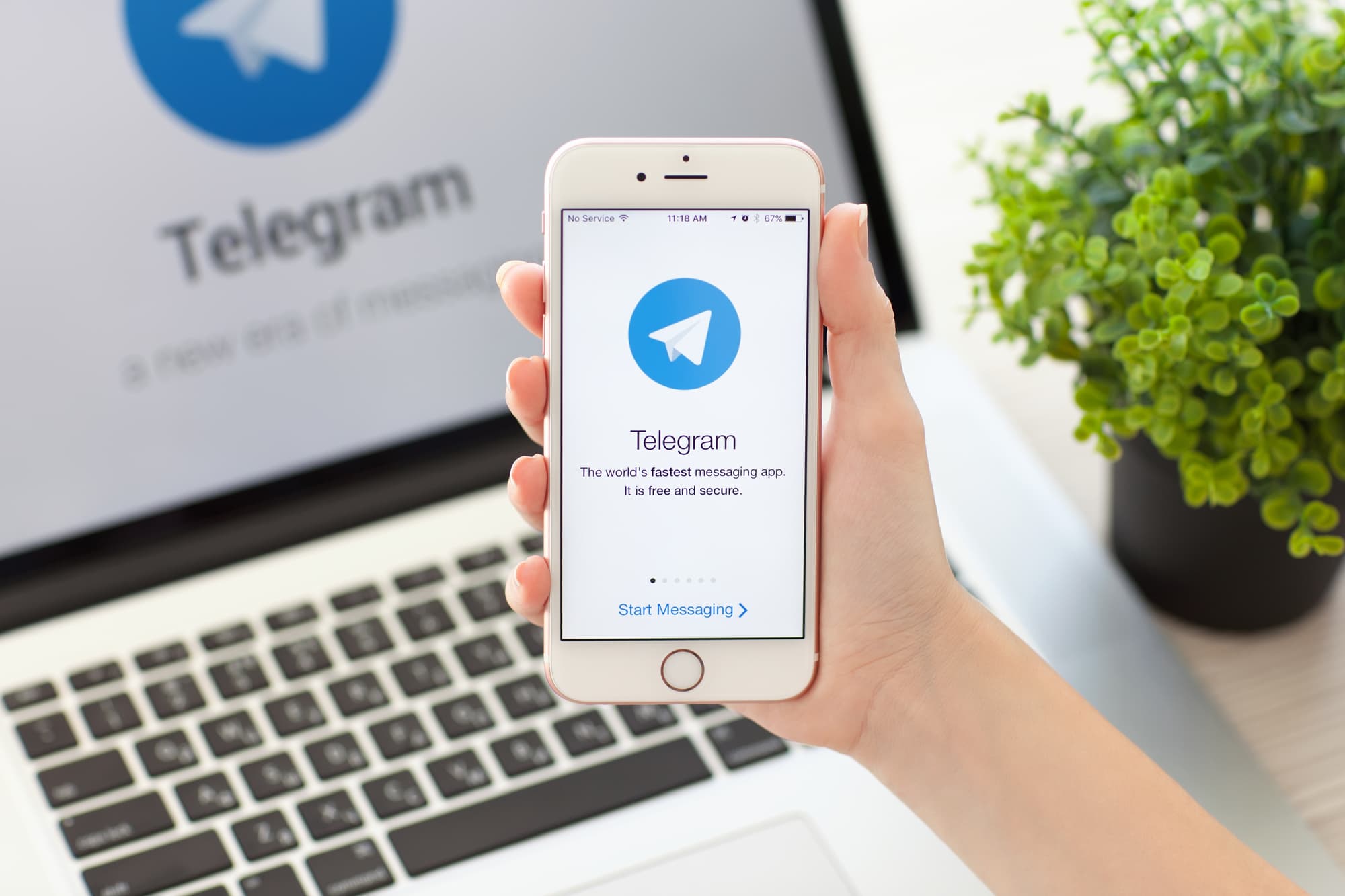 "Telegram" IPO-ya hazırlaşır