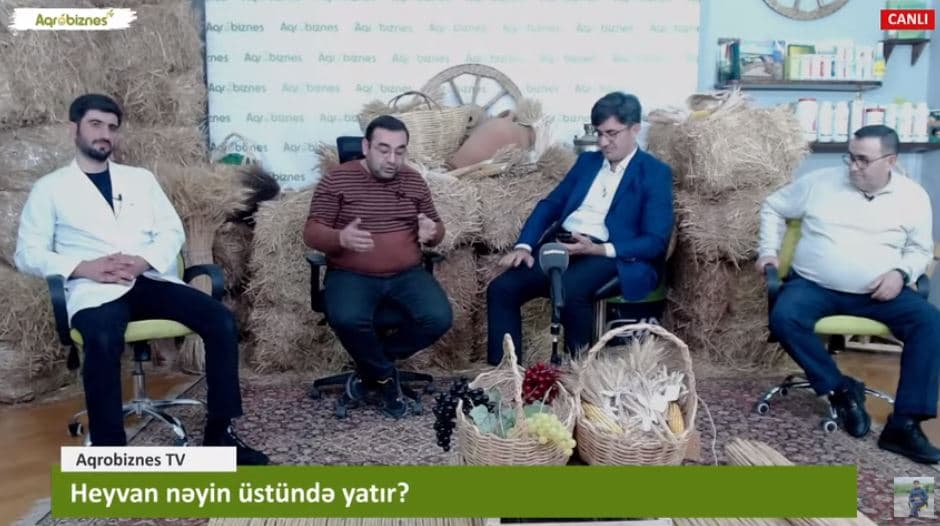 Heyvan nəyin üstündə yatır? ZOOTEXNİK MƏSLƏHƏTİ - VİDEO