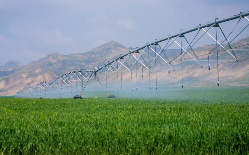 Hacıqabulda "Aqro Dairy" MMC-nin aqroparkının təqdimatı olub