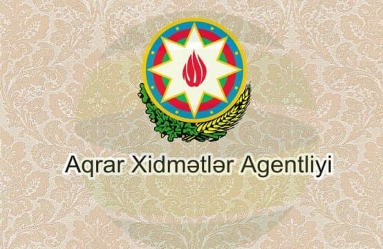Aqrar Xidmətlər Agentliyi tender elan edir