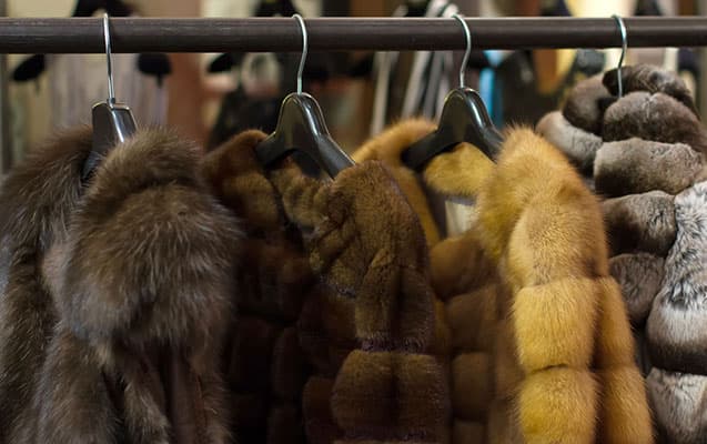 İsrail xəz satışını qadağan edən ilk ölkə oldu