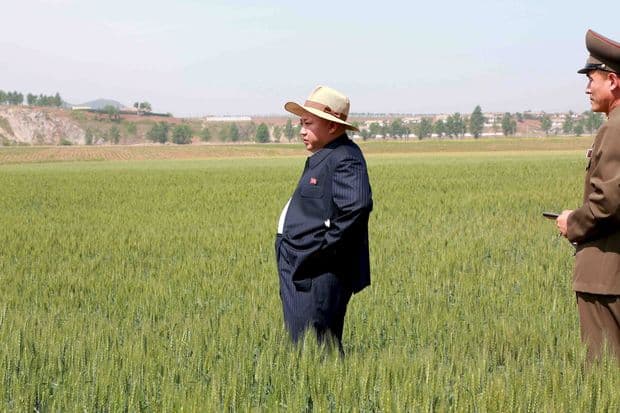 Şimali Koreya liderindən aclıq təhlükəsi barədə XƏBƏRDARLIQ