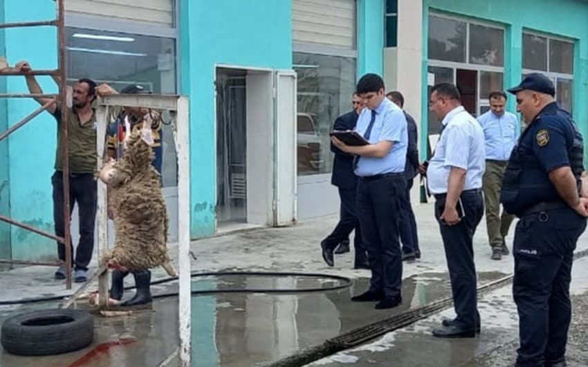 AQTA 15 qanunsuz heyvan kəsimi məntəqəsi aşkarladı - SİYAHI