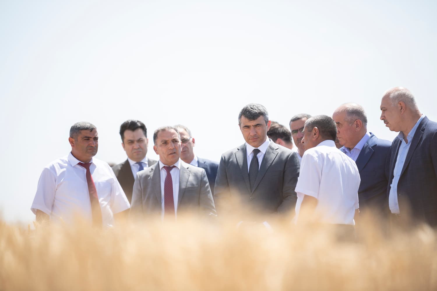 Qobustanda toxumçu fermerlərə yeni yerli və xarici taxıl sortları nümayiş olunub