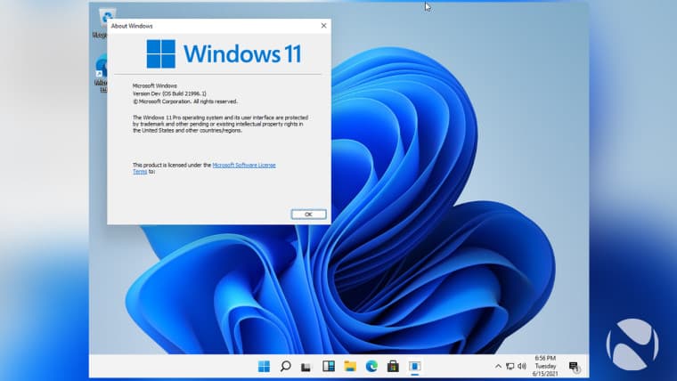 Ən yeni funksiyalar ilə Windows 11 - VİDEO