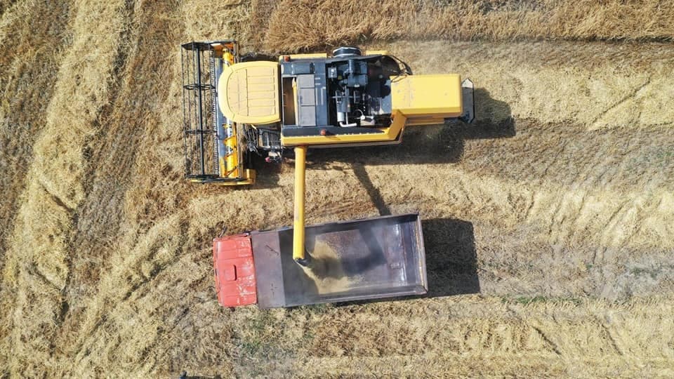 Bugünədək 578250 hektar sahədə biçin aparılıb, sahələrdən 1832176 ton məhsul yığılıb