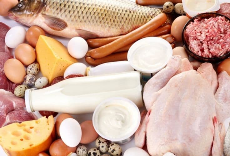 Yarım ildə heyvandarlıq məhsulları istehsalında artım olub