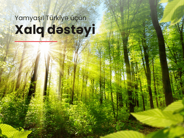 Xalq Bankın adından Türkiyədə 21000-dən çox ağac əkiləcək