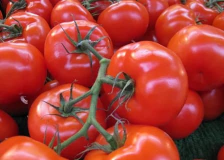 Azərbaycan pomidor ixracını 24% azaldıb