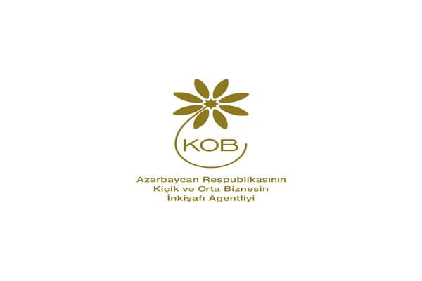 Biznes planın hazırlanmasında kömək edilən sahibkarlıq subyektlərinin sayı AÇIQLANIB