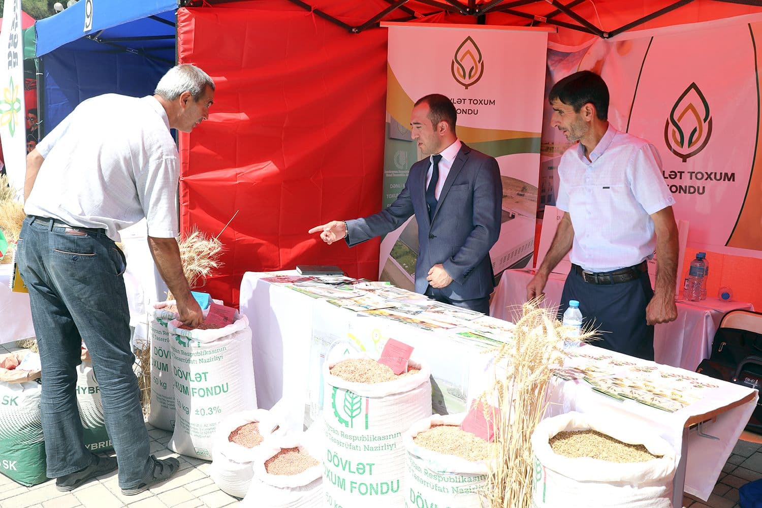 Bu gündən respublika toxum sərgi-satış yarmarkasına start verilib - FOTO
