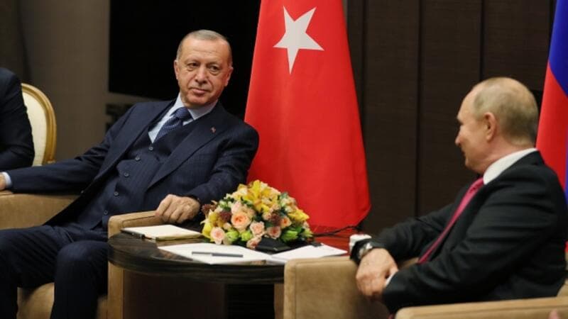 Ərdoğan Putinlə apardığı müzakirələrdən yazdı
