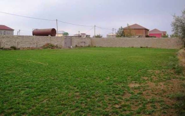 Dövlət reyestrində qeydiyyata alınan torpaq sahələrinin sayı açıqlanıb