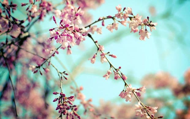 Temperatur 18 dərəcəyədək yüksələck – SABAHIN HAVASI