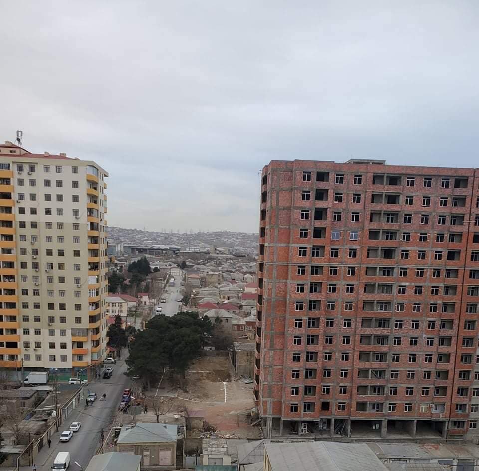 Bu tikinti şirkəti ağacları qanunsuz kəsib-FOTOLAR