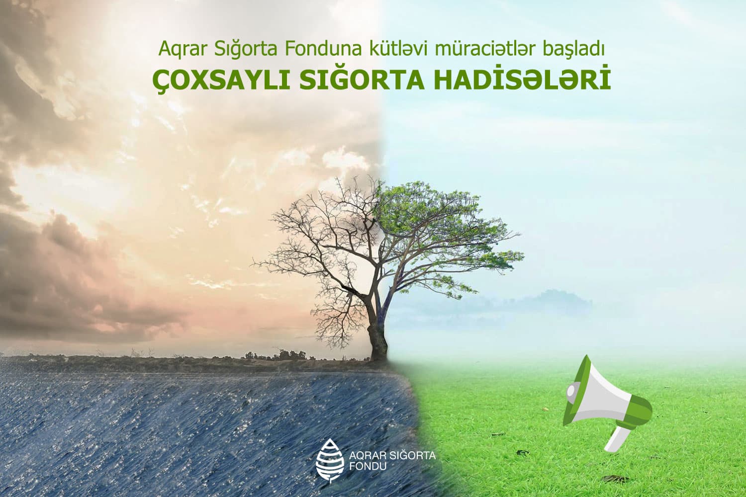 Aqrar Sığorta Fonduna kütləvi müraciətlər başladı – ÇOXSAYLI SIĞORTA HADİSƏLƏRİ