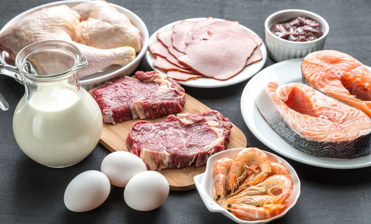 Qaxda ət, süd və yumurta istehsalı artıb