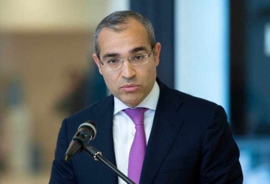 Mikayıl Cabbarov: Azərbaycanda hər il 70-100 min yeni iş yeri yaradılmalıdır