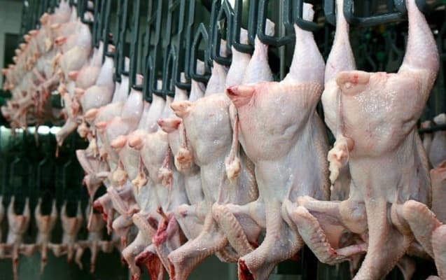 Ucuz satılan Belarus toyuqları ilə bağlı xəbərdarlığa cavab verildi