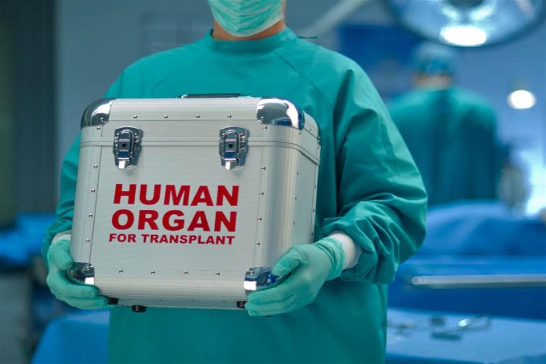 Orqan transplantasiyası ilə bağlı cərimələr - MƏBLƏĞ