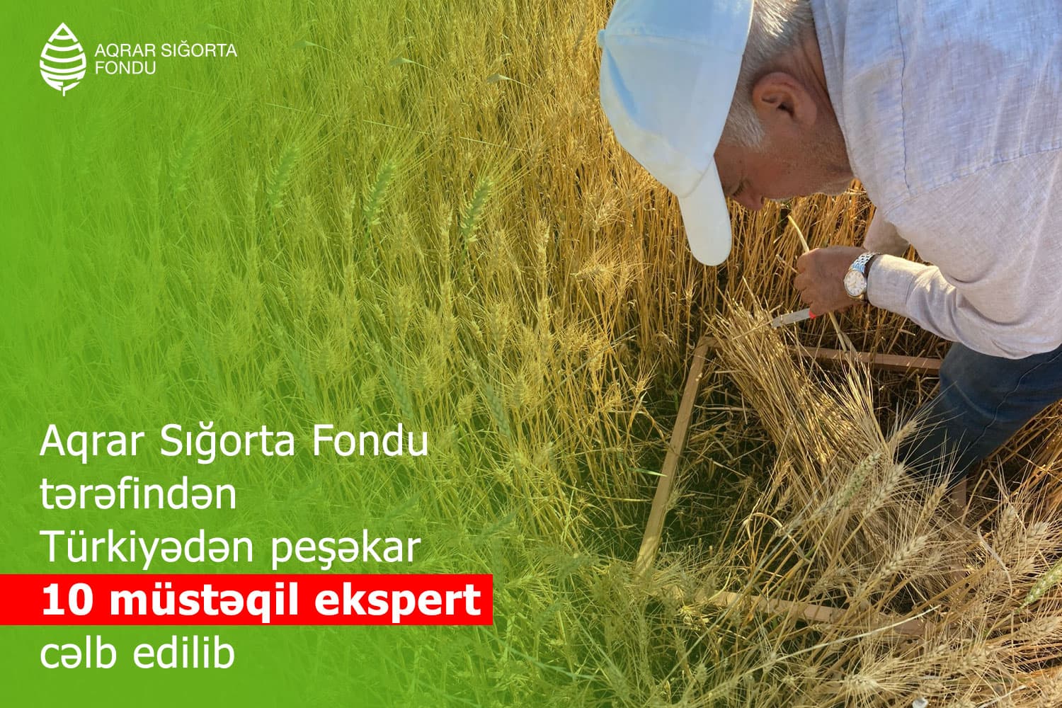 Aqrar Sığorta Fondu tərəfindən Türkiyədən peşəkar 10 müstəqil ekspert cəlb edilib