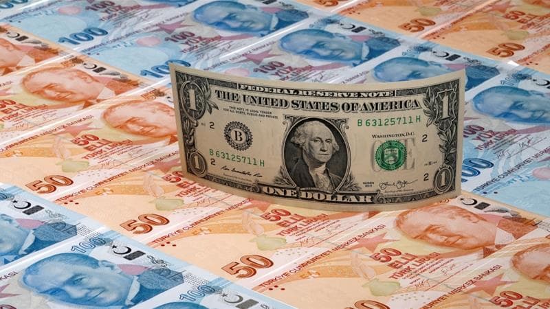 Türkiyədə dollar yenidən 17 lirəni ötdü