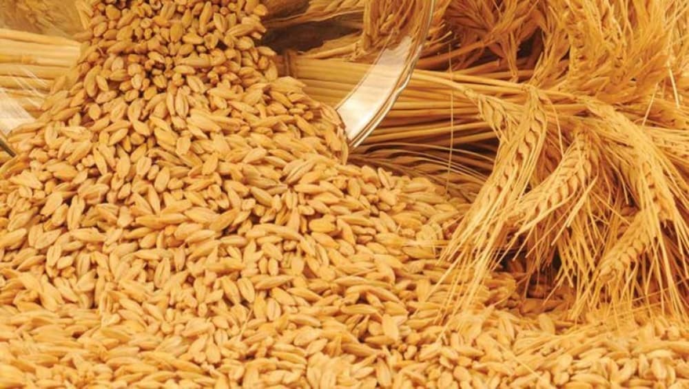 Gürcüstan buğda və arpa ixracını dayandırdı