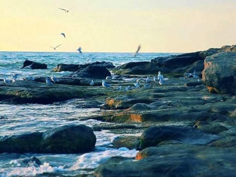 Xəzərdə suyun səviyyəsinin tərəddüdünə səbəb olan əsas amillər açıqlanıb