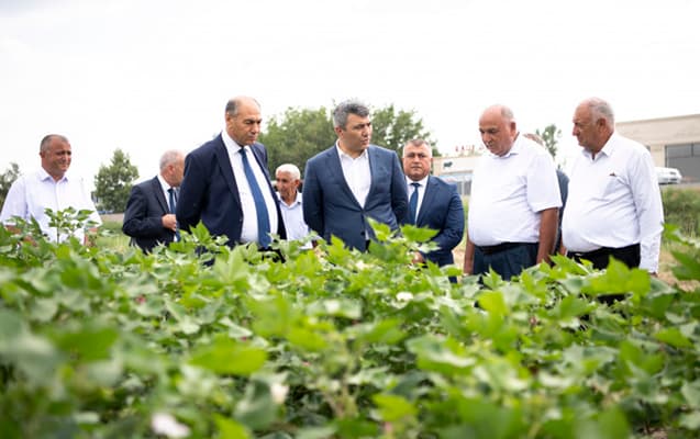 “Ərzaqlıq buğda üçün minimum alış qiyməti müəyən olunacaq”