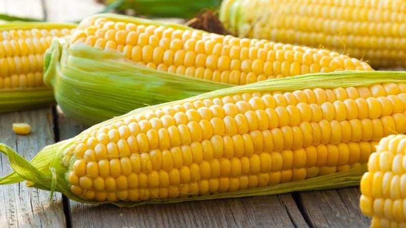 Qarğıdalı daşıyan gəmi Ukraynadan yola düşüb