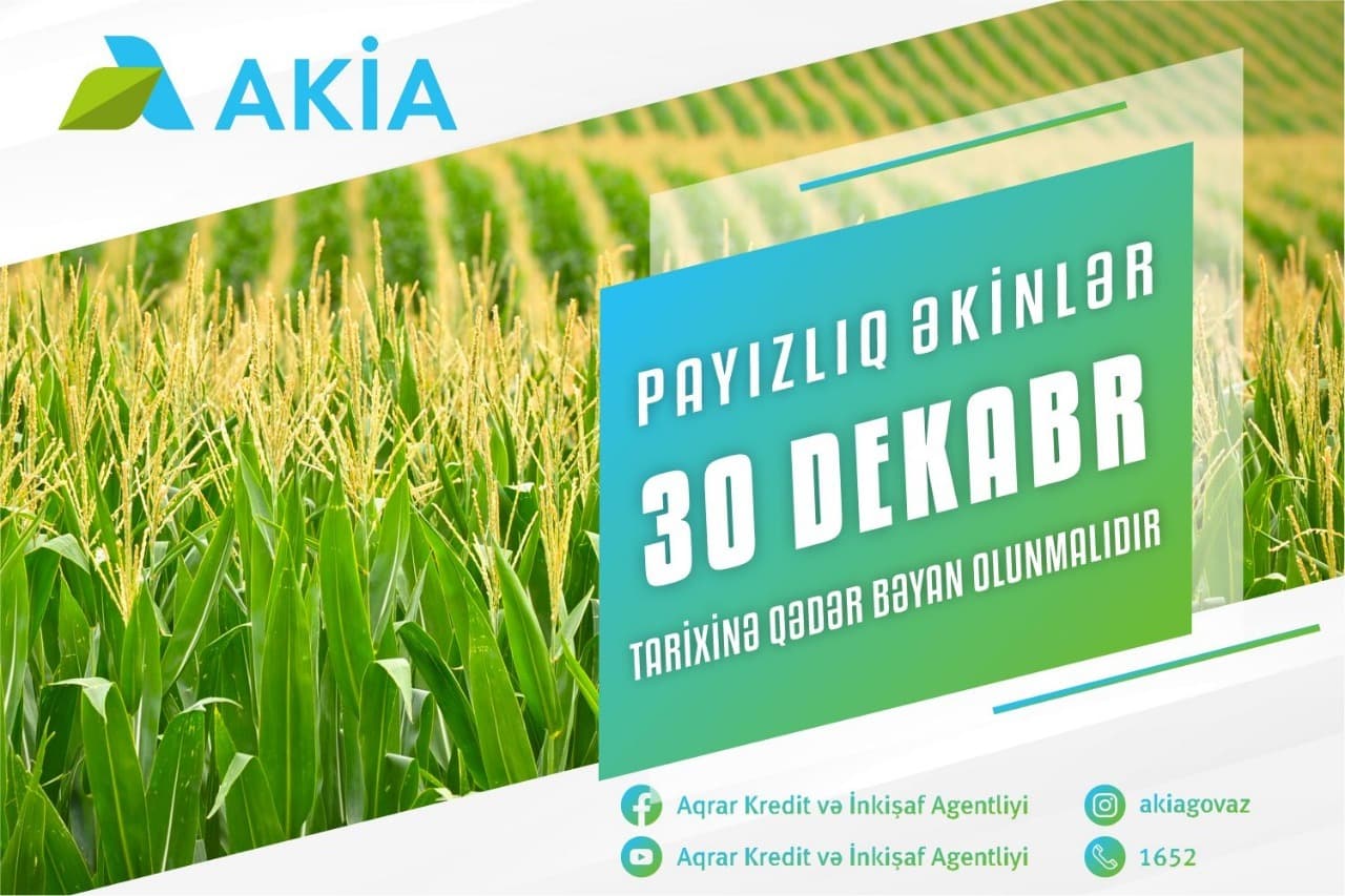 Payızlıq əkin bəyanlarının qəbuluna başlanılıb