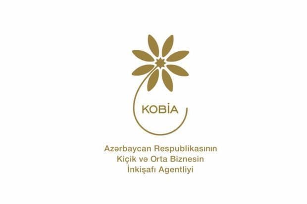 Sahibkarlar üçün 44 daxili bazar araşdırması aparılıb